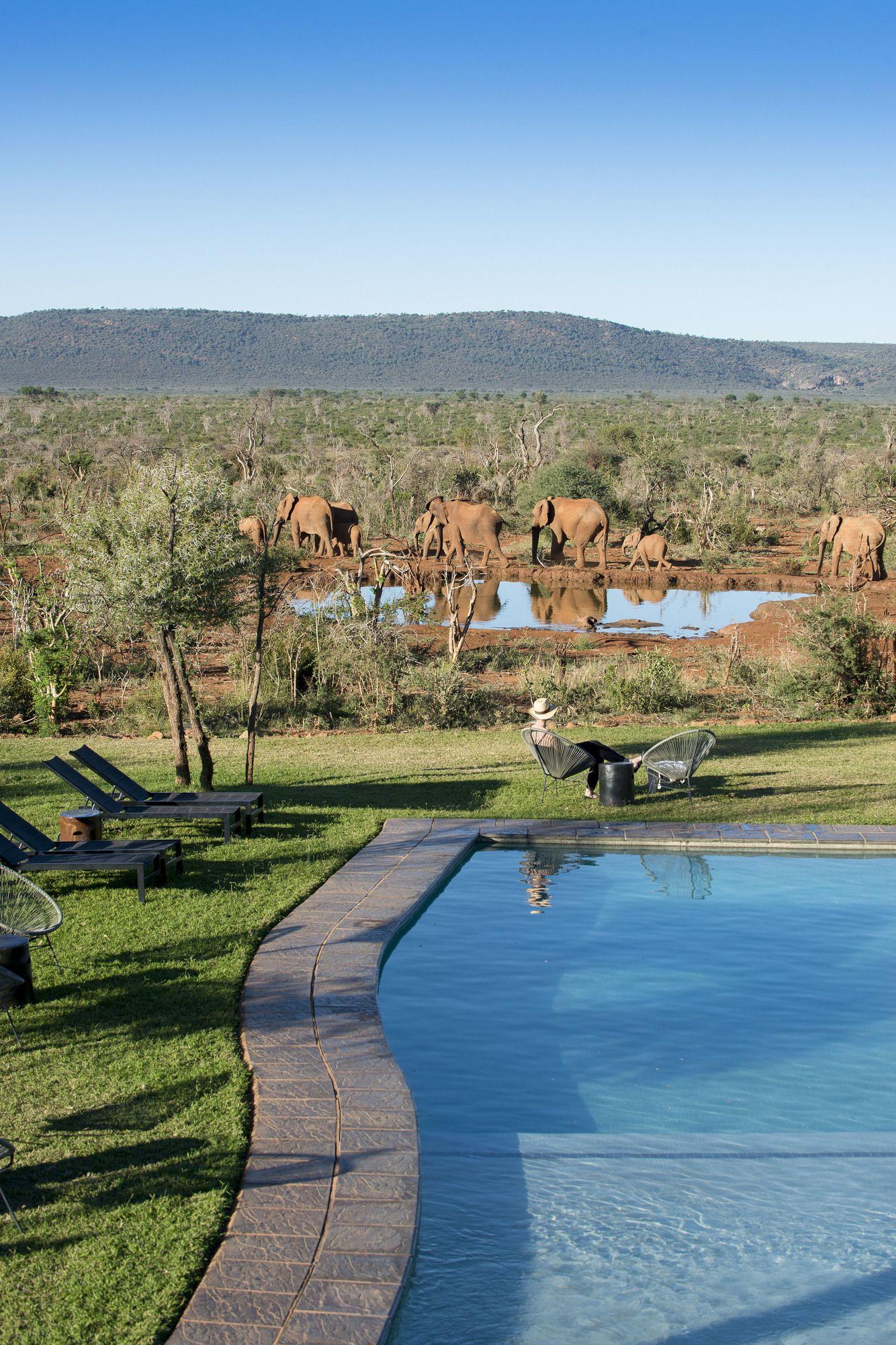 Madikwe Safari Lodge Madikwe Game Reserve Bagian luar foto
