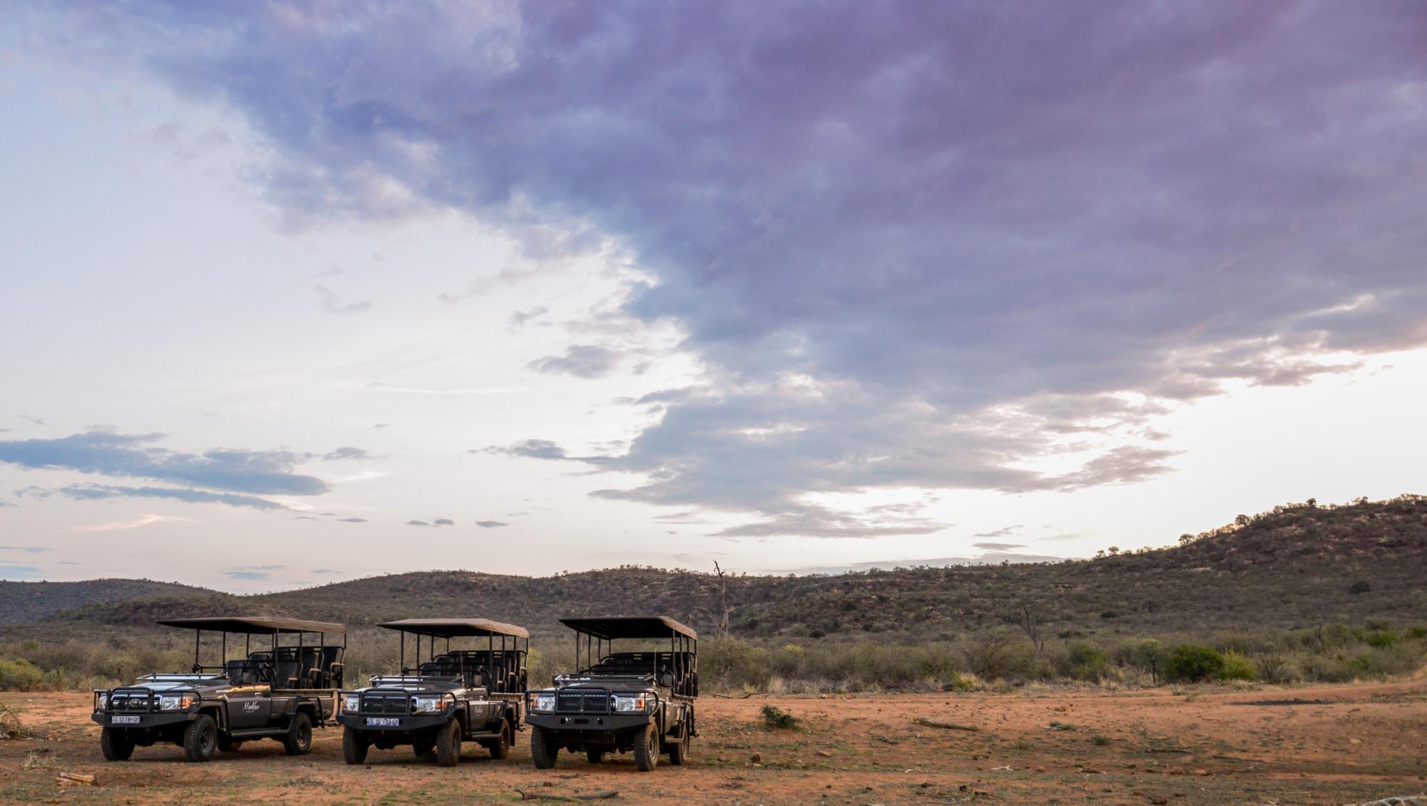 Madikwe Safari Lodge Madikwe Game Reserve Bagian luar foto